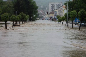 Participants of POINT 3.0 helping flood victims