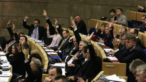 Citizens in the parliamentary benches through online platform