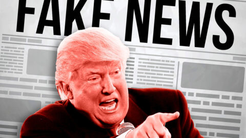 Post-fact age: Fake news, misinformation and trolls