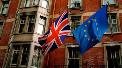 How did social networks influence the result of Brexit?