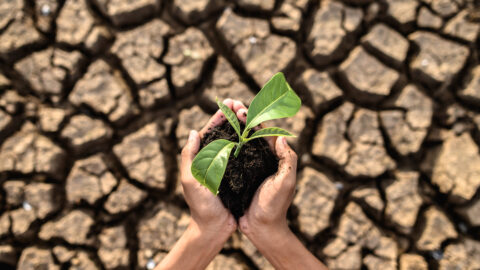 We had an industrial revolution, now it’s time to have an ecological revolution