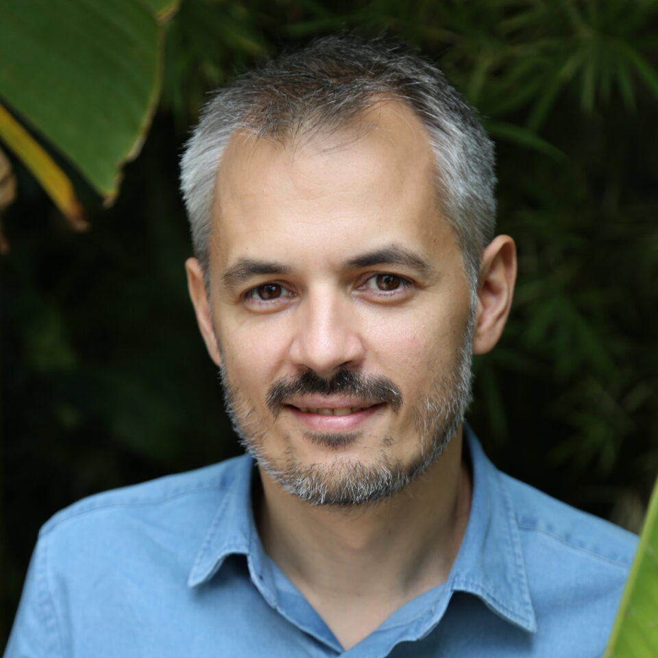 Agon Maliqi